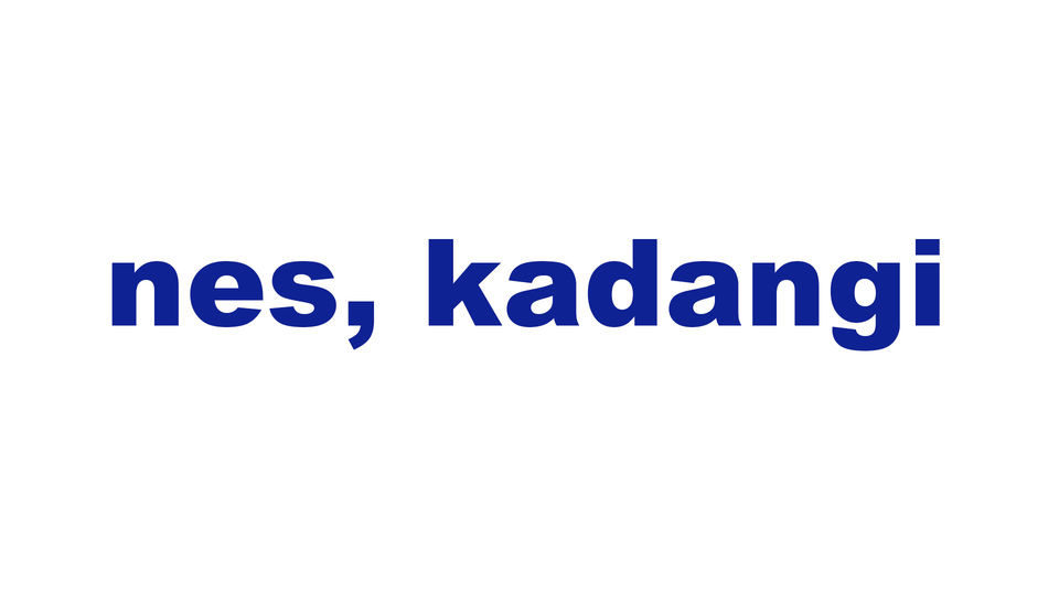 nes, kadangi, todėl, kad