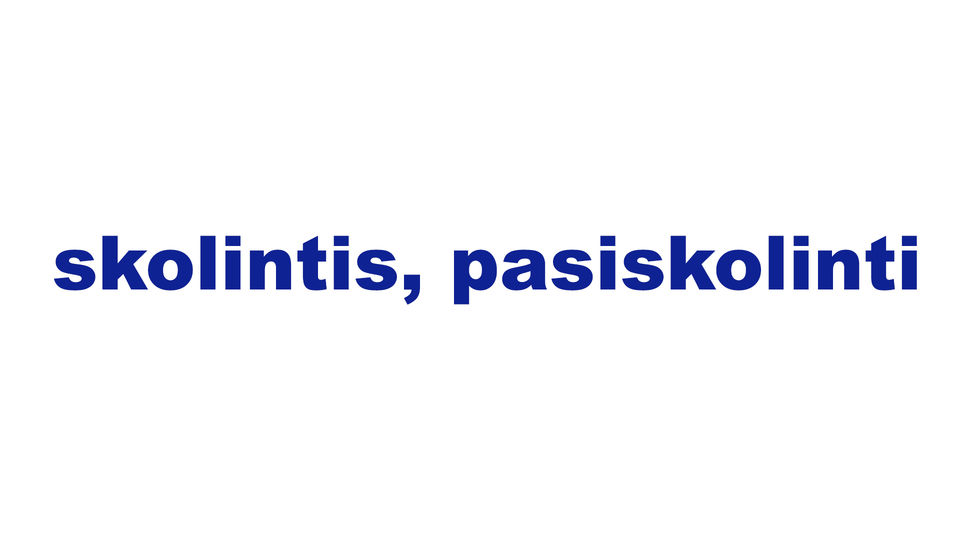skolintis, pasiskolinti