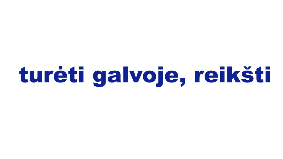 turėti galvoje, reikšti